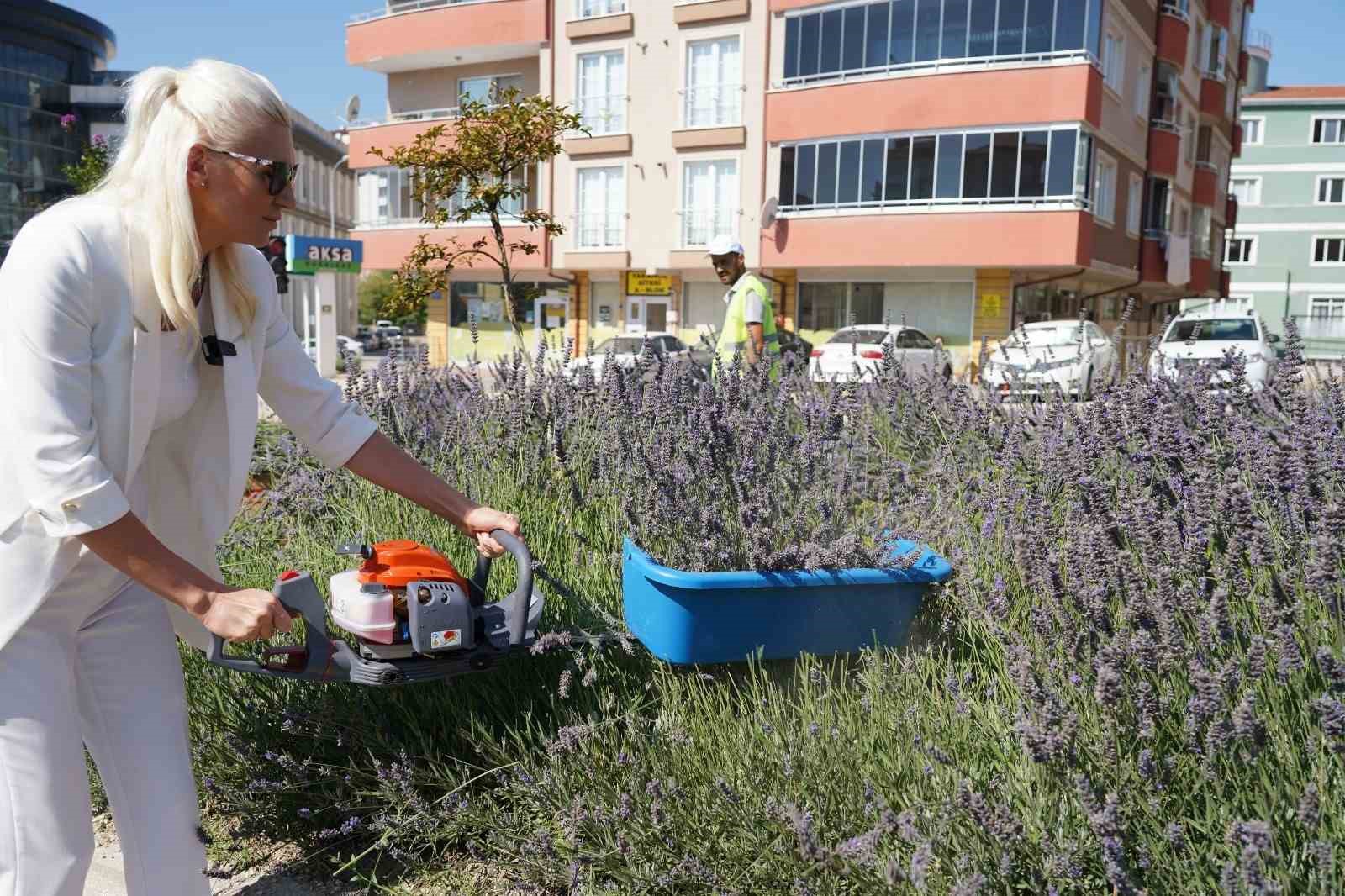 60-ulkeden-381-proje-arasinda-bilecik-ve-istanbul-yer-aldi