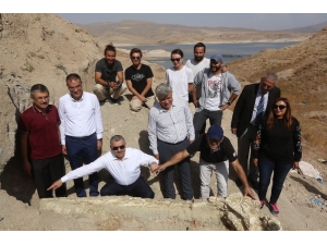 Kayseri’de 2 Metre 40 Santim Fil Kafası Çıkarıldı