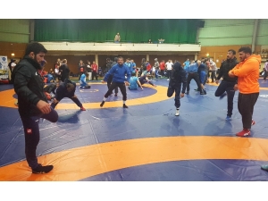 Milliler, Dünya Güreş Şampiyonası’nda Madalya Peşinde