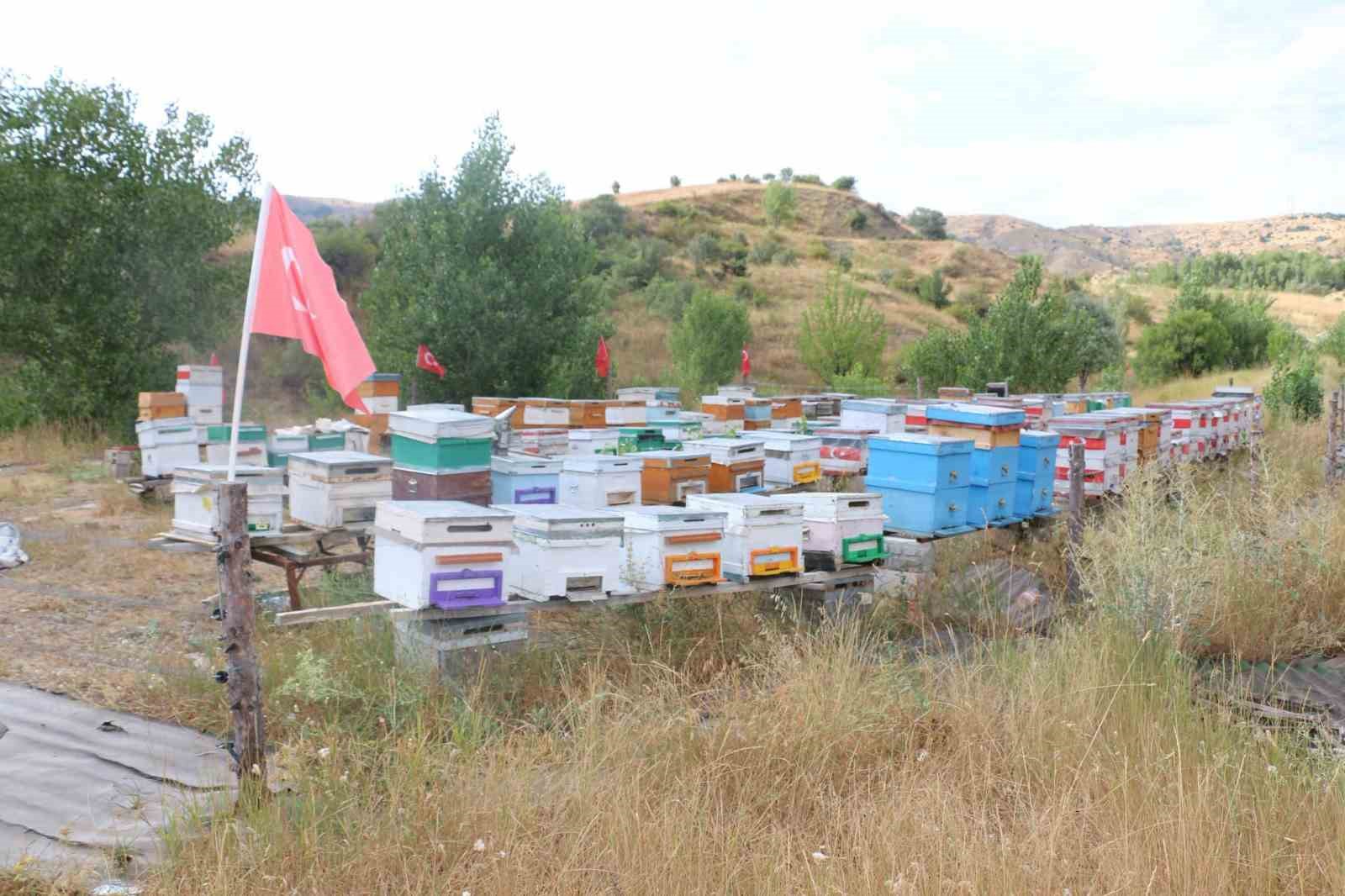 erzincan-da-aricilik-ve-vatan-sevgisi-ayni-arilikta-bulustu