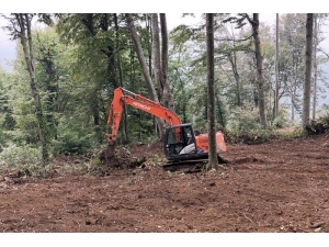 Sahada Yeni Tohumlar Çıkacak