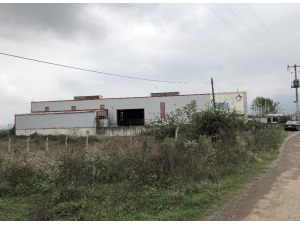 Devrilen Vincin Altında Kalan İşçi Hayatını Kaybetti