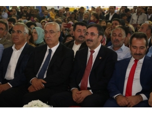 Bingöl Tanıtım Günleri’nde Alişan Coşkusu