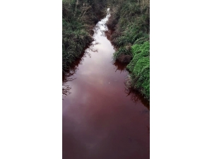 Büyükkaynarca Deresi Kırmızı Renge Büründü