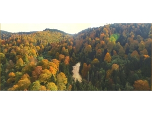 Giresun’da Sonbaharın Büyüsü