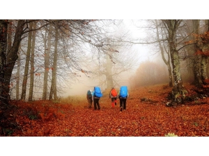 En Güzel Sonbahar Fotoğrafları...