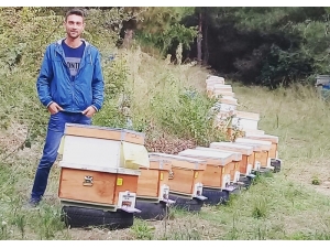 Genç Çiftçilere Büyükbaş Hayvanları Teslim Edildi
