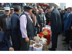 Niksar’da “5. Altın Ceviz Yarışması” Sonuçlandı