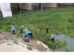 Asi Nehri Temizleniyor