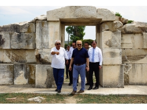 Magnesia Canlandırılacak