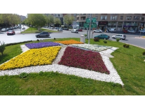 Melikgazi Baharda Lale Bahçesine Dönecek