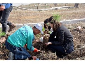 Aliağalı Öğrenciler Fidan Dikti