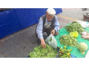 İsmail Kazar, Pazarın En Tecrübelisi