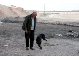 İtfaiyeden Yavru Köpek İçin Seferberlik