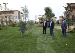 Botanik Park Darıca’ya Renk Katacak