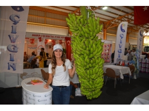 Anamur Tarım Ve Gıda Fuarı Açıldı