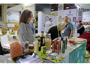 Yörex’te Geyve Rüzgarı