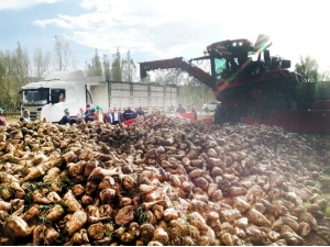 Turhal Şeker Çiftçilerine Kayseri Şeker’den Maus Hizmeti