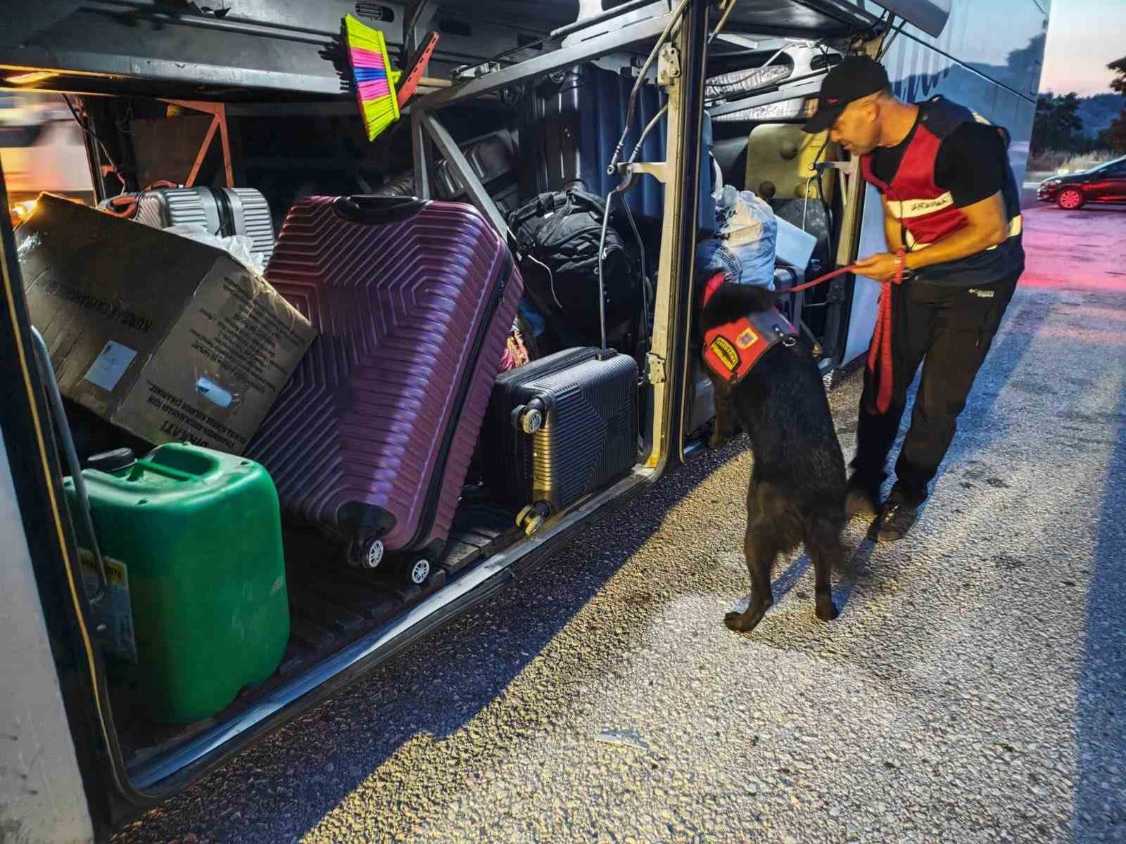 bilecik-te-trafik-ihlallerine-32-bin-liralik-ceza
