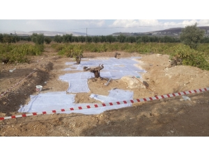 45 Metrekarelik Taban Mozaiği Muhafaza Altına Alındı