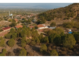 Manisa’da Ağaçlandırma Çalışması Erozyonu Yendi