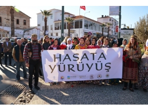 Ayvalık’ta 14. Uluslar Arası Zeytin Hasat Günleri Başladı