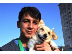 Yalnızlığını Gidermek İçin Sahiplendiği Görme Engelli Köpek, Tek Dostu Oldu