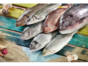 Türk Su Ürünleri Sektörü Abd’de Lezzet Şovu Yaptı