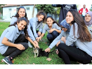 Öğrenciler Can Dostlarını Ziyaret Etti