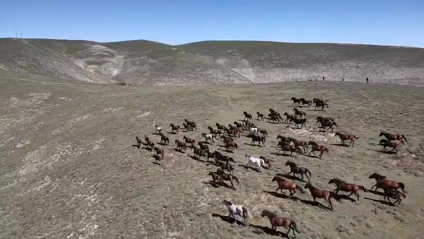 akdag-in-yilki-atlari-dronla-goruntulendi