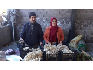 Devletten Destek Aldılar, Kendi İşlerini Kurdular