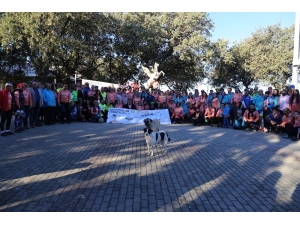 Adramytteion’dan Troas’a Pedal Çevirecekler