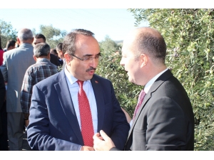 2. Altınözü Zeytin Ve Zeytinyağı Festivali Renkli Başladı