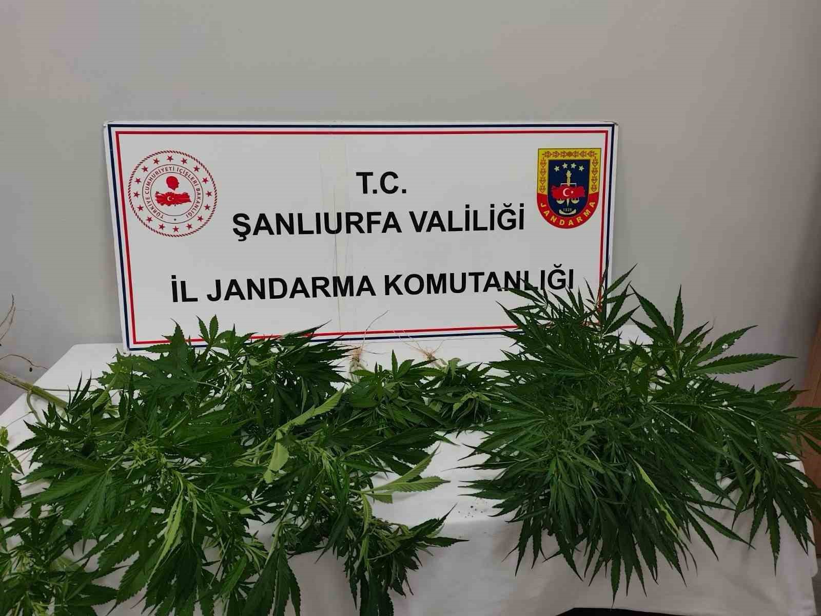 hilvan-da-uyusturucu-ele-gecirildi