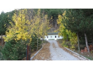 Tahtalı Yaylası’nda Sonbahar