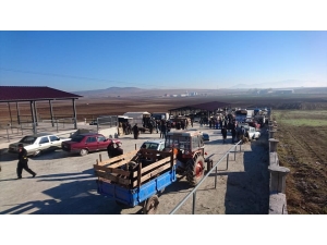 Canlı Hayvan Pazarı Ve Borsası Açıldı