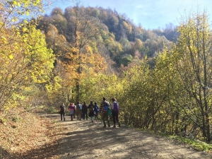 Doğaseverler Akyazı’da Yürüdü