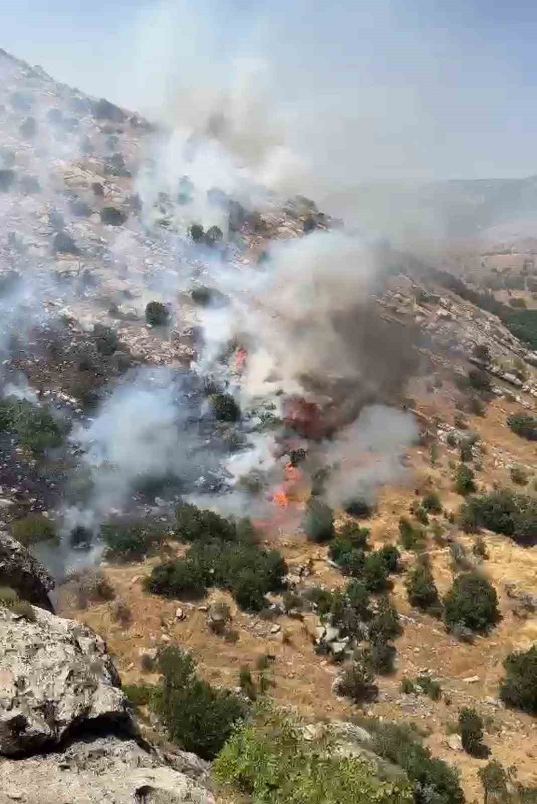 diyarbakir-da-cikan-ortu-ve-orman-yanginlari-sonduruldu