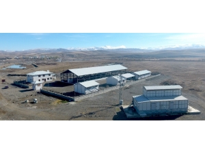 Büyükşehir Horasan’a Canlı Hayvan Pazarı Yaptı