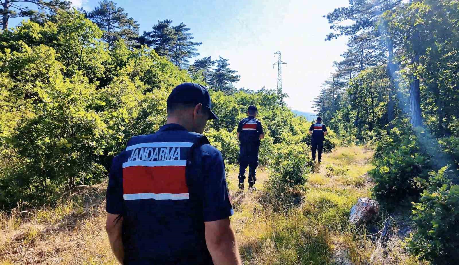 canakkale-de-orman-yanginlarina-karsi-jandarma-ekipleri-sahada