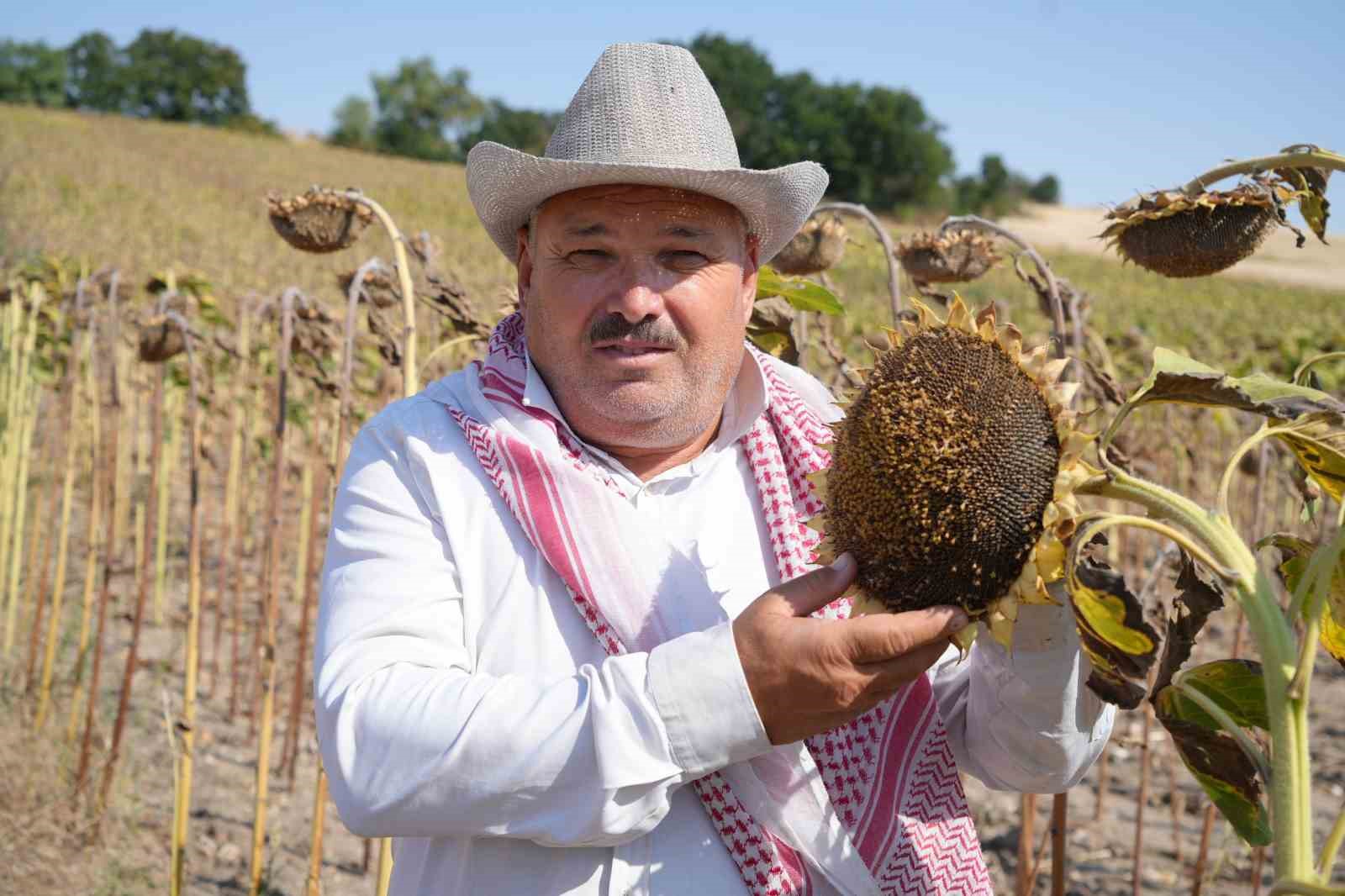 edirne-de-aycicegi-ureticisinin-yuzu-bu-yil-verimle-guldu