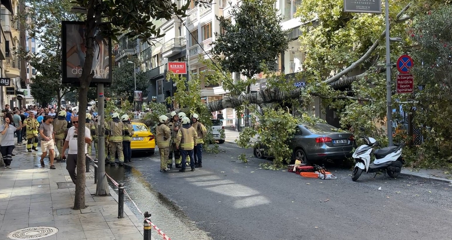 nisantasi-nda-cinar-agaci-iki-aracin-uzerine-devrildi