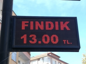 Serbest Piyasada Fındık Yükselişe Geçti