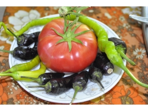 Organik Gübreyle Verim İkiye Katlandı