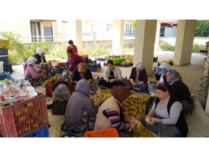 Kısır Gününde Ortaya Çıkan Fikir Mahallenin Kadınlarını İş Sahibi Yaptı