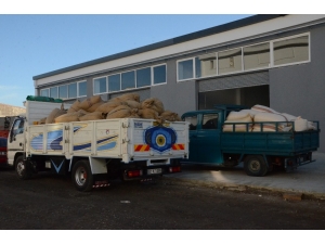 Tmo Fındık Alımlarına Başladı