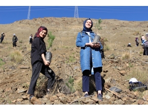 Erzincan’da Gençlerin Eliyle 4 Bin Fidan Toprakla Buluştu