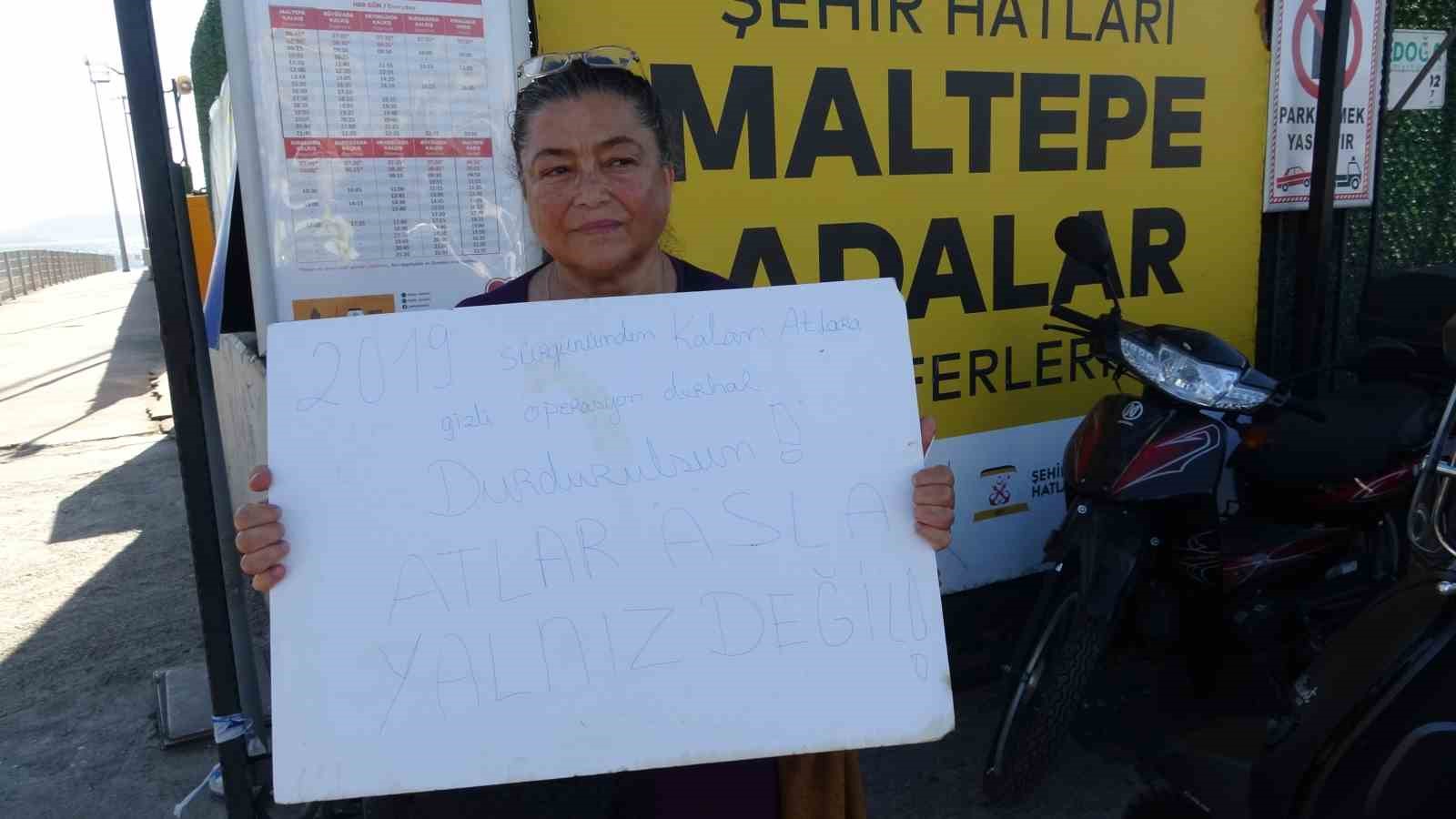 buyukada-da-kalan-son-16-at-icin-gizli-sevk-iddiasi-hayvanseverlerden-islemleri-durdurun-cagrisi