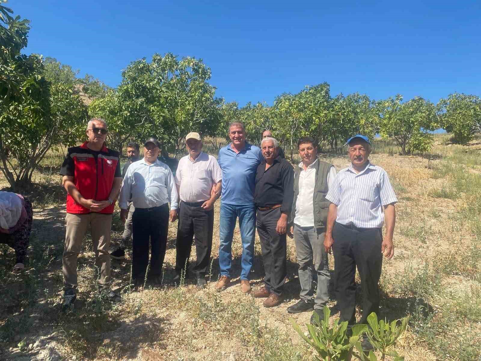 kaymakam-arikan-incir-hasadina-katildi