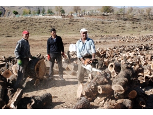 Kömürdeki Fiyat Artışı Oduna Rağbeti Arttırdı